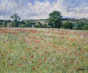 Gloucestershire Prints: Coberley, Gloucestershire (Morning)