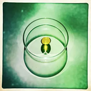 Drug Prints: Cod liver oil pills