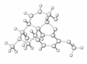 Large Group Prints: Codeine, molecular model
