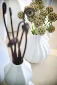 Collection Prints: Collection of decorative vases