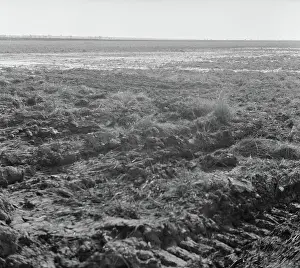 Heidematschappij Prints: Collection Dutch Heidematschappij. Landscapes. undated