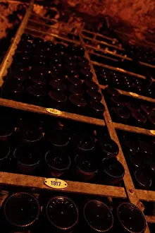 Industry Prints: Collection of wine bottles in wine cellar categorized by year
