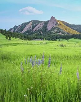 Green Color Prints: Colorado Boulder - Colorado Low Angle View Outdoors