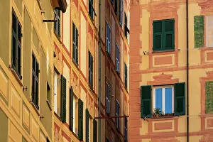 Genoa Prints: Colored building facades in the town of Camogli Colored building facades in the town of Camogli Copyright: xZoonar