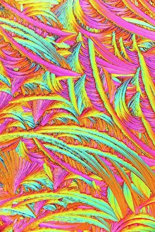 Colourful Prints: Colorful crystals of salicylic acid showing intricate patterns