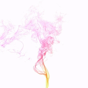 Fine Art Prints: Colorful smoke against white background