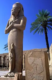 Pharaoh Prints: Colossus of Ramses II at Karnak, Karnak, Egypt