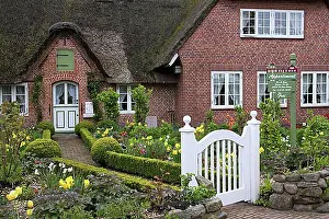 Folklore Prints: Colourful flowers in garden of Frisian traditional house with straw-thatched roof at Sankt Peter-Ording