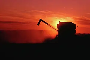 Back Lit Prints: Combine Harvester at Sunset