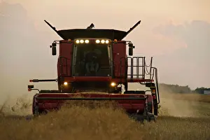 Somebody Prints: a combine harvester works in a field during the canola harvest