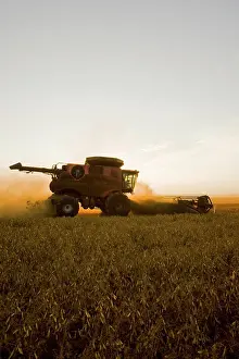 Machinery Prints: a combine harvester works in field of yellow field peas near Winnipeg, Manitoba, Canada