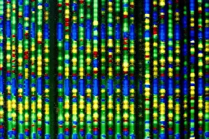 Computer Display of DNA Sequence