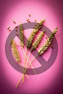 Nopeople Prints: Conceptual image of gluten intolerance