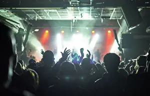 Sound Prints: Concert Crowd At Live Music Festival