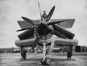 Aeronautics Prints: Concertina Plane Neatly packaged and ready for stowing - Fairey Gannett with wings folded