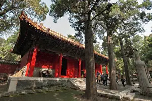 Large Group Prints: Confucius Forest and Cemetery, Qufu