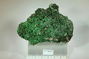 Mineral Prints: Conichalcite. minerals. Utah; Juab County; Tintic District; Carissa Mine