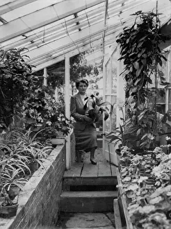 Author Prints: Constance Spry To Advise On Coronation Floral Decorations - Mrs