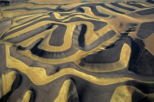 Prevention Prints: Contour Farming Aerial View Of A Palouse Wheat Farm Eastern Washington