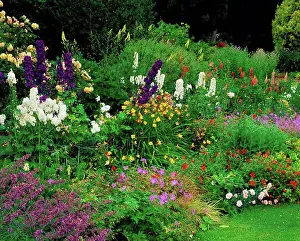 Mixed Prints: Coolcarrigan, Co Kildare, Ireland, Mixed Herbaceous border during Summer