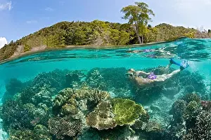 Australasia Prints: Corals in shallow water, Raja Ampat, West Papua, Indonesia, Asia
