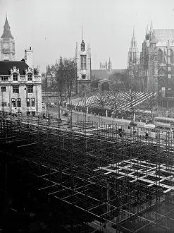 Royal Prints: Coronation Forest Growing in Westminster