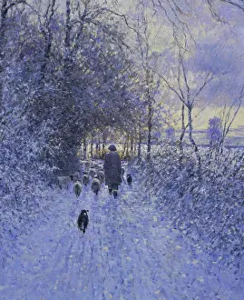 Group Of Animals Prints: Cotswold Park, Woodmancote, February Morning 1998 Charles Neal (b)