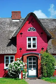 Reed Prints: Country side, Frisian house, thatched house