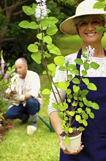 Share Prints: Couple in a garden