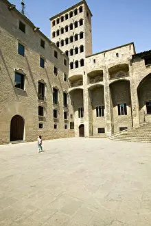 Courtyard Prints: Courtyard of the Plaça del Rei
