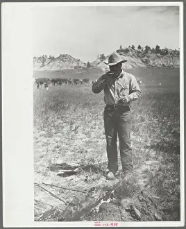Cowboy eating "Rocky Mountain oysters