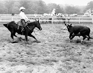 Challenge Prints: Cowboy lassoing a calf in a rodeo