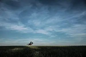 Horseback Prints: Cowboy riding horse in rural field under blue sky and clouds