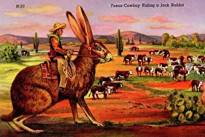 Prints: Cowboy Riding a Jack Rabbit. ca. 1943, Texas, USA, Texas Cowboy Riding a Jack Rabbit