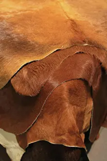 Leather Prints: Cowhide Bunch of natural cowhides in brown color Copyright: xZoonar