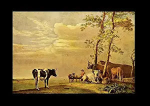 Pasture Prints: Cows in the pasture, painted by Paul Potter