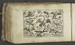 Crane and twelve other birds, 1596 - 1622 print A crane with spread wings on a branch