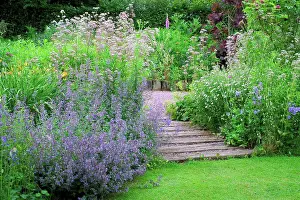 Mixed Border Prints: Creeping Charlie and steps at garden Jardins de Valériane
