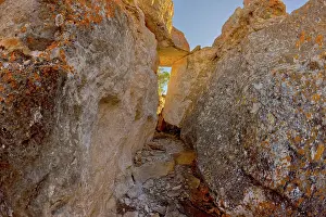Arid Prints: A crevice in a rock island just off the cliff line east of Desert View Point at Grand Canyon Arizona