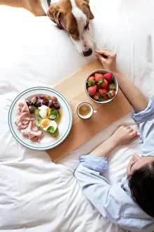 Ingredient Prints: From above crop view of anonymous woman sharing her breakfast with her dog while sitting on bed