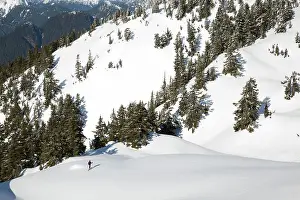 Slope Prints: Cross country skier at Mount Seymour in North Vancouver, British Columbia, Canada