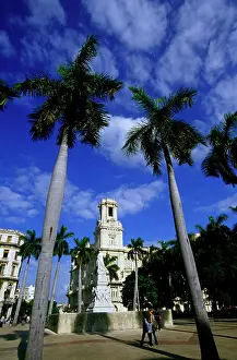 Caribbean Prints: CUBA, OLD HAVANA, PARQUE CENTRAL (CENTRAL PARK), ROYAL PALM TREES