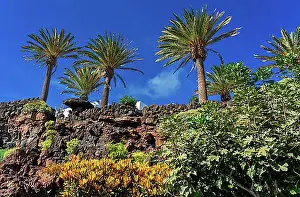 Exterior Photograph Prints: Cultural site and tourist attraction Jameos del Aqua