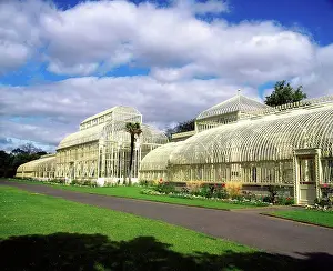 Leinster Prints: Curvilinear Glasshouse, Irish National Botanic Gardens