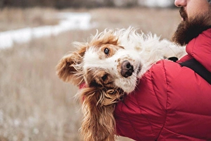 Doggie Prints: Cute dog chilling in the hands of man, winter scene