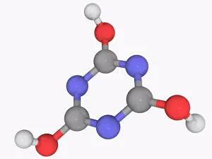 Matter Prints: Cyanuric acid, molecular model