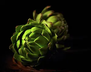 Expressive Prints: Cynara scolymus, Globe artichoke, Green subject, Black background