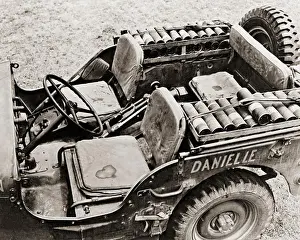 Shells Prints: Danielle the Jeep