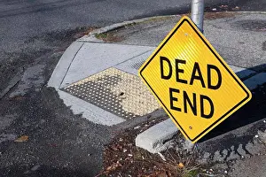 Trans Portation Prints: Dead End Sign