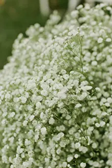 Greenery Prints: delicate baby's breath flowers and lush greens